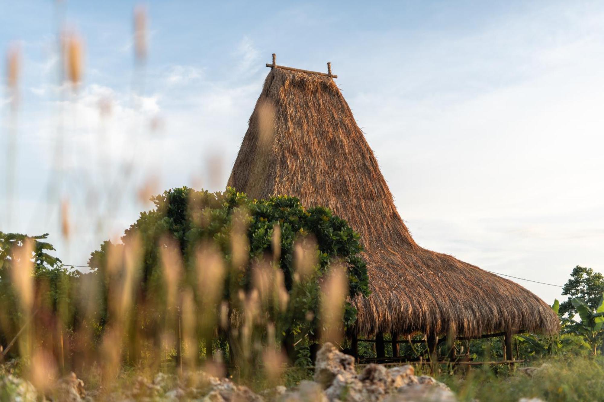Cap Karoso Sumba - A Member Of Design Hotels Tambolaka Exterior photo